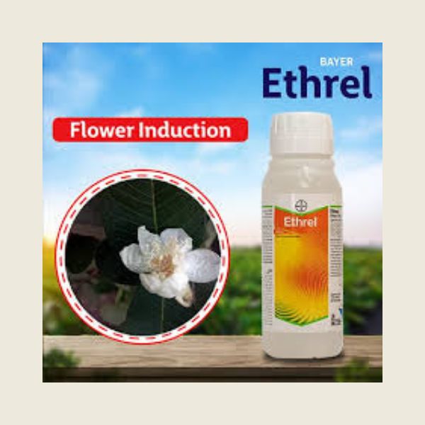 ethephon based herbicide Ethrel Plant Growth Regulator – Kheti Trends
