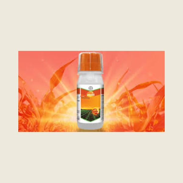 laudis herbicide residual Laudis Herbicide – Kheti Trends