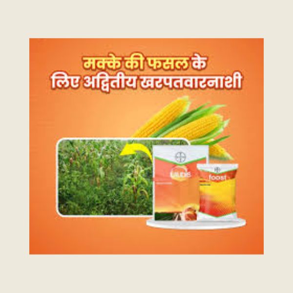 Laudis Herbicide – Kheti Trends