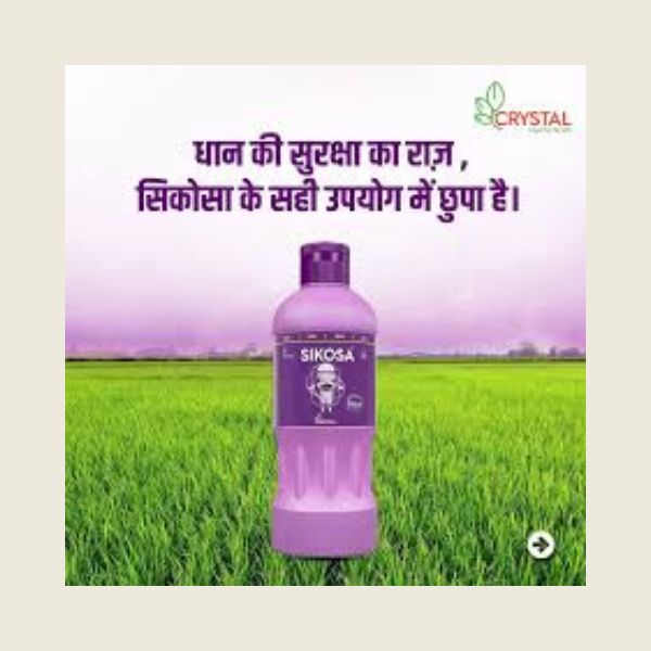 bensulfuron methyl herbicide Crystal Sikosa Bensulfuron Methyl 4.8% + Pretilachlor 48% OD Herbicide –  Kheti Trends