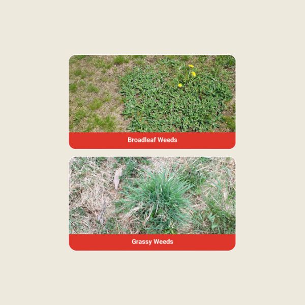 glycel herbicide Glycel Herbicide – Kheti Trends