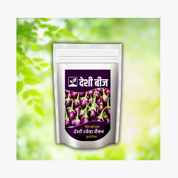 Purple Brinjal Seed,Purple Brinjal seeds,purple king brinjal seeds,Org ...