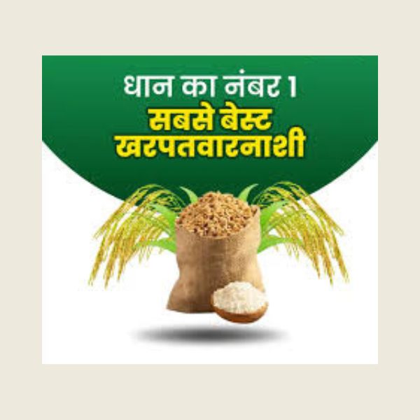 saathi herbicide technical SAATHI HERBICIDE – Kheti Trends