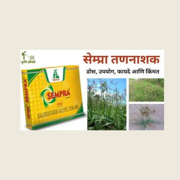 sempra herbicide price Sempra Herbicide – Kheti Trends